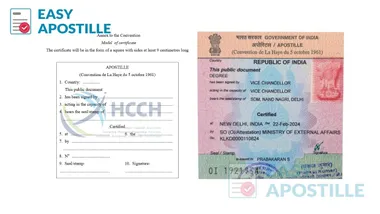 left side with Sample India MEA apostille sticker and right side with model of apostille certificate by Hague